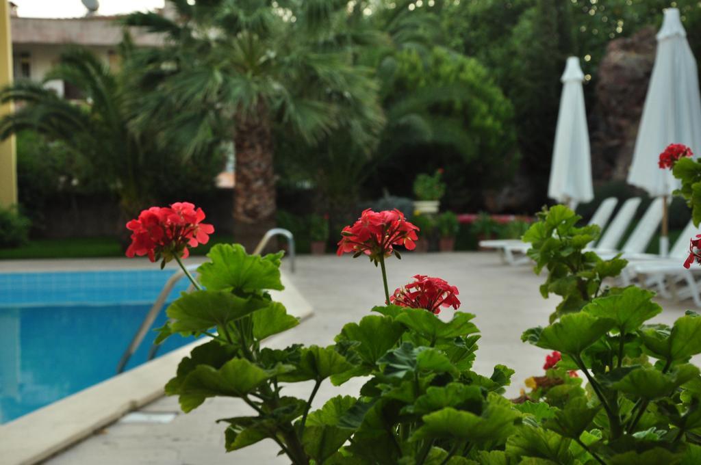 Ayvalı Palm Court Suites מראה חיצוני תמונה